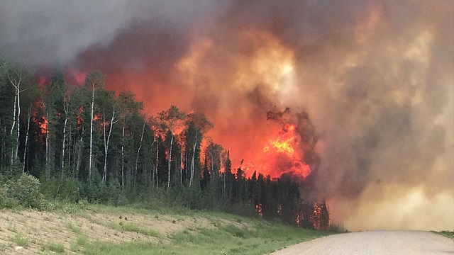 A wildfire burns beside a dirt road. 