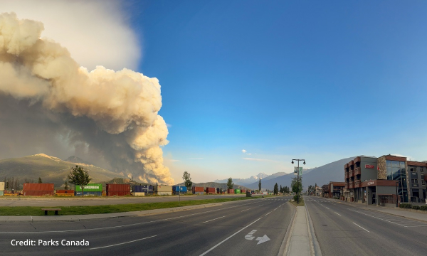 A wildfire burns trees in front of a convoy of vehicles.