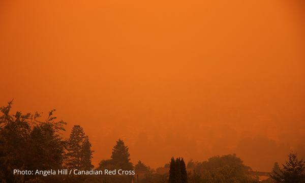 Wildfires burning trees behind a water front.