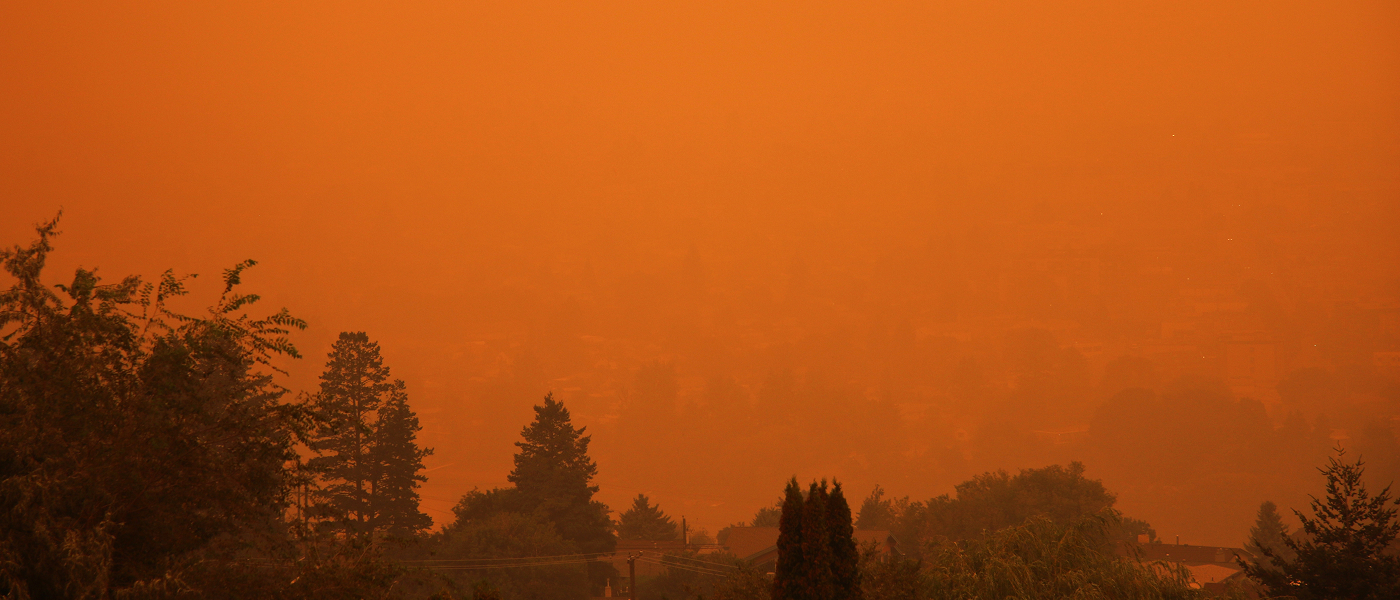 Wildfires burning trees behind a water front.