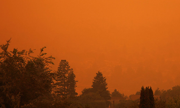 Arbres en feu en arrière-plan d’une étendue d’eau.