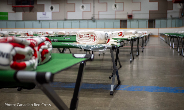 Rows of green cots with folded Red Cross blankets on them sit on the floor of a hockey arena.