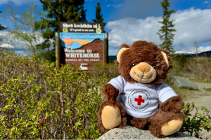 A teddy bear with a Canadian Red Cross t-shirt in front of a “welcome to Whitehorse” sign. 