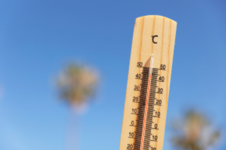 A thermometer reading 40+ degrees Celsius