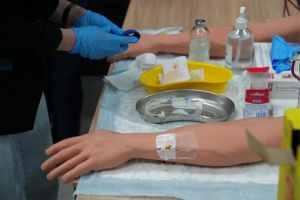 A close up of a nurse preparing to insert an IV into a medical manikin.