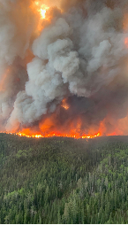 A significant fire blazes in a Manitoba forest, with thick smoke billowing into the sky amidst the trees. 
