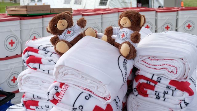 Two Canadian Red Cross teddy bears on Red Cross blankets.