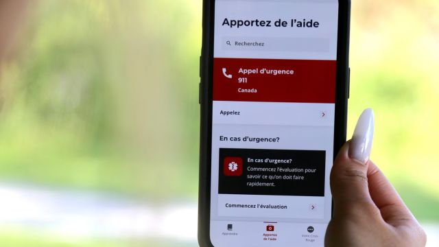 A person holding a cell phone, with the Red Cross first aid app displaying on the screen.