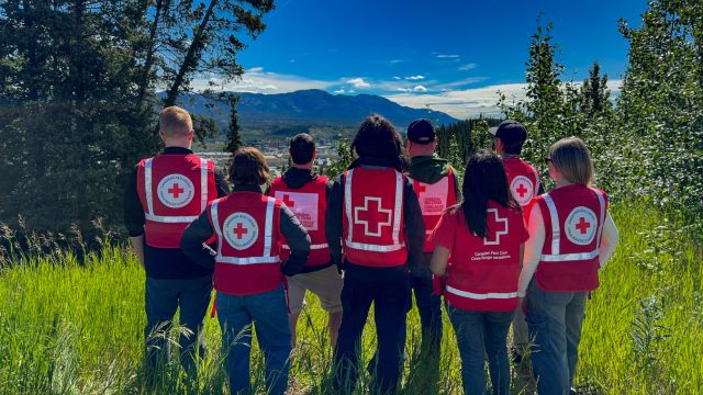 A group of Red Cross personnel stand back on, looking at a moutain. 