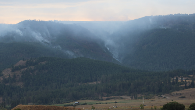 Wildfire smoke covering a landscape photo of mountains and trees.