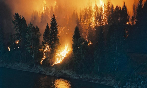 Arbres en feu en arrière-plan d’une étendue d’eau.