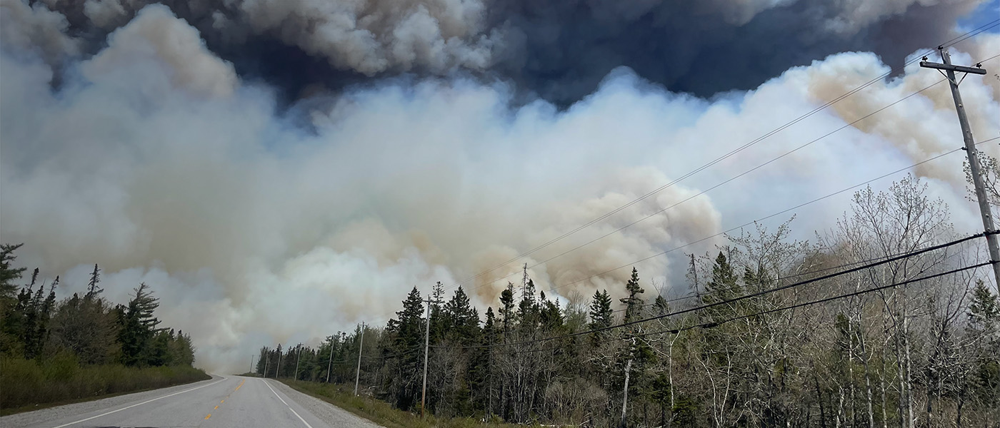Wildfires burning trees next to a road.