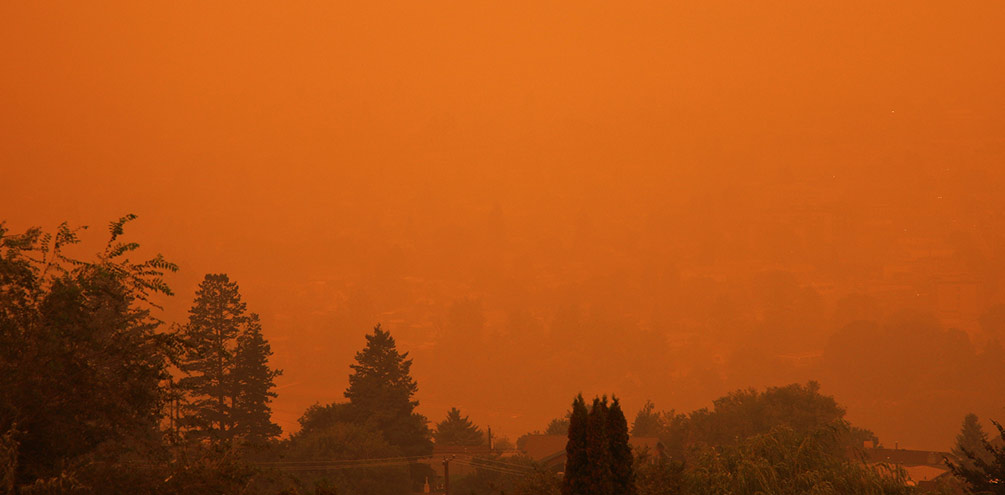 Arbres en feu en arrière-plan d’une étendue d’eau.