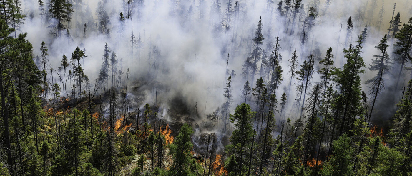 A wildfire burns through a forest in Nova Scotia, with flames and smoke rising among the trees.