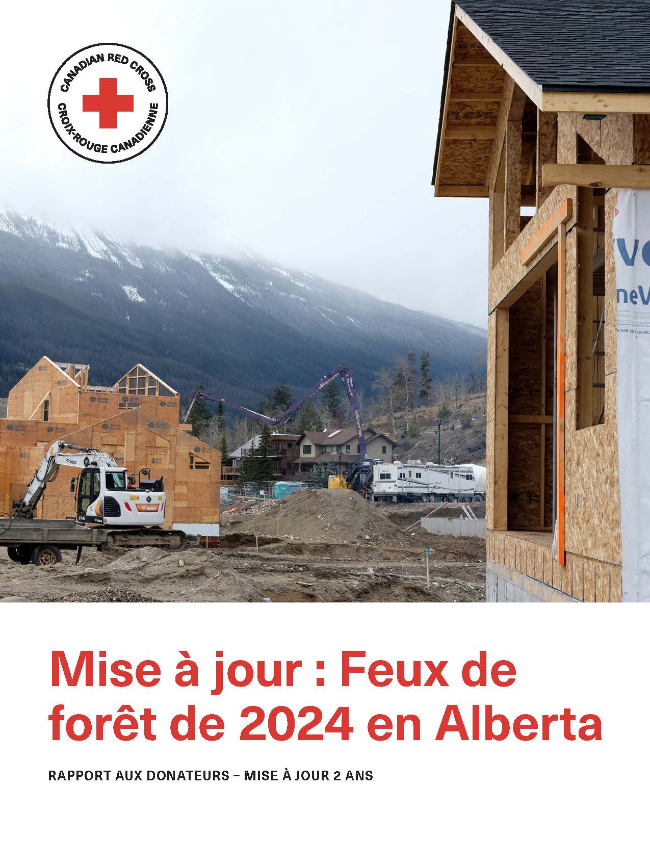 Des pelles mécaniques sur un chantier de construction de logements.