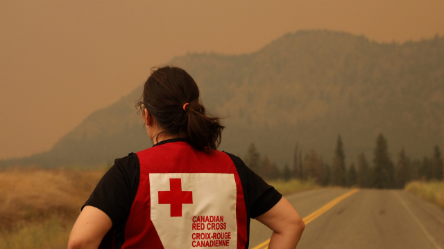 Red Cross personnel looks out towards a wildfire smoke filled landscape.