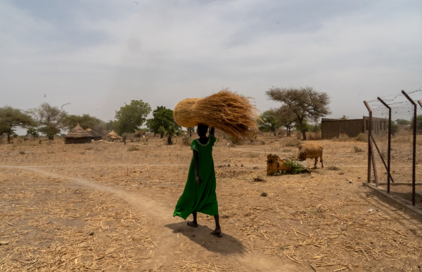À Aweil, au Soudan du Sud, une femme transporte gracieusement une botte de foin sur la tête.