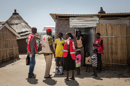 Group of Malian Red Cross volunteers standing outside a local household