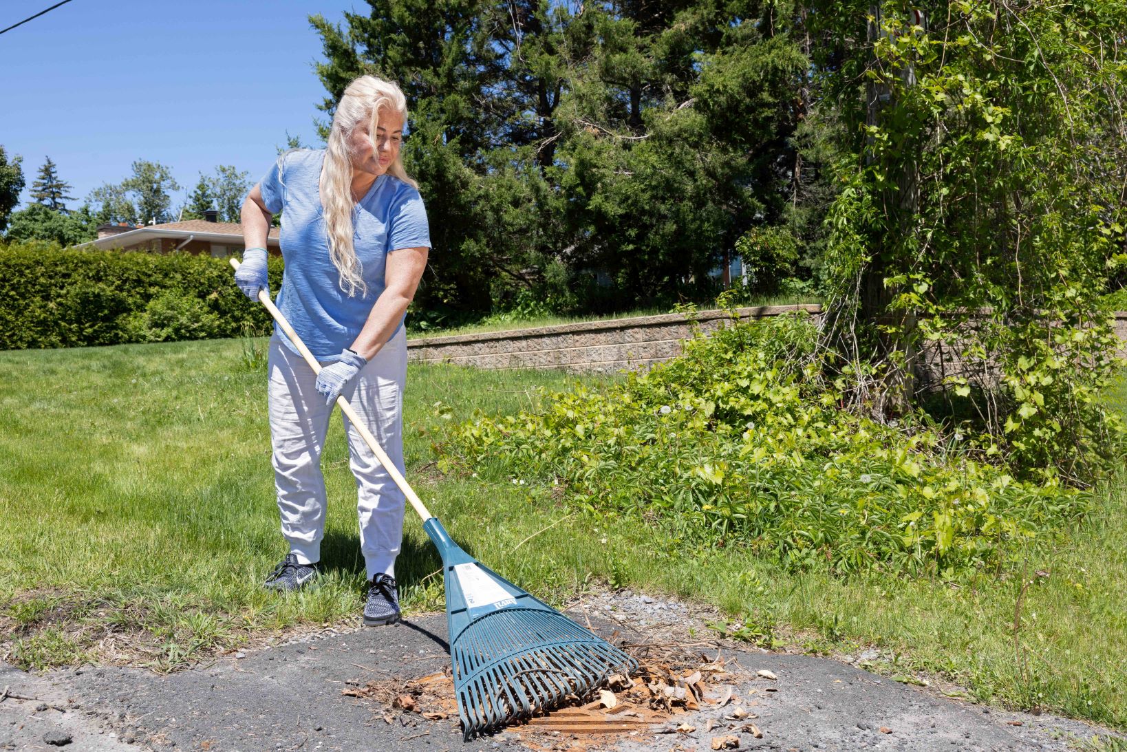 An older woman rakes the leaves from the storm drain on the street. (Credit John Falcon)