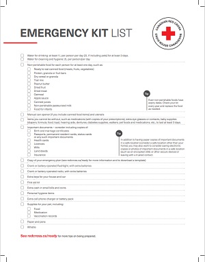 Emergency kit list