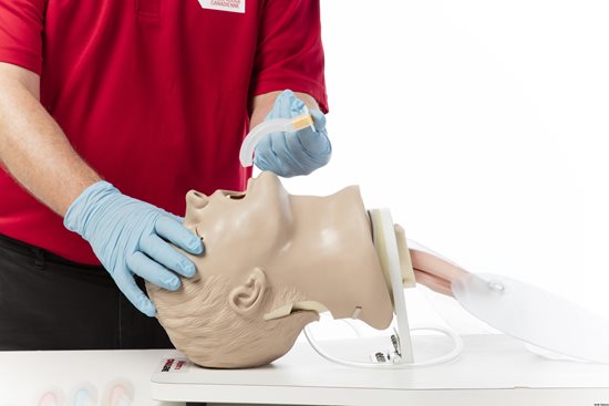 A Red Cross instructor demonstrates how to insert an airway adjunct into a manikin's mouth to create a patent airway while tilting its head back.