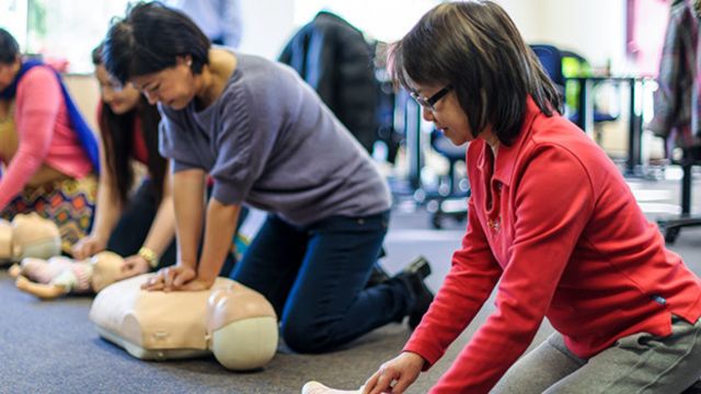 Quatre femmes sont à genoux, administrant la RCR à des mannequins.