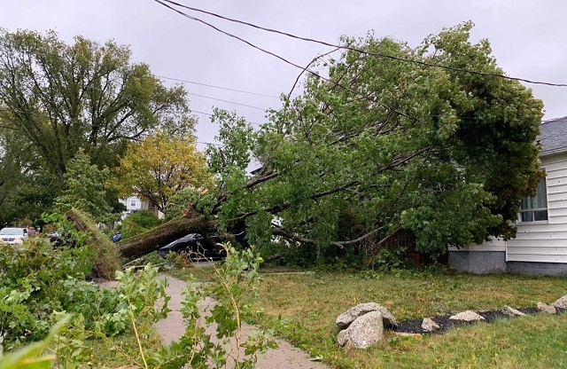 Hurrican damage including a tree pulled out of the ground