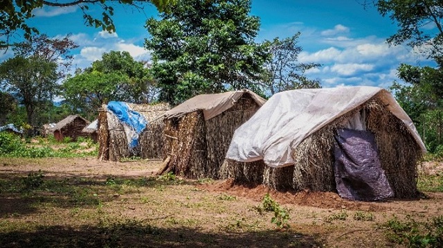 grass huts with tarps for roofs