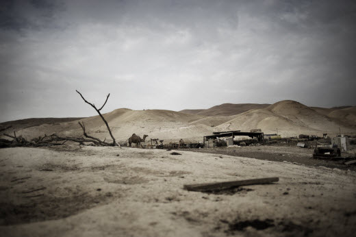 view of desert with camel